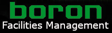Boron Logo_Black